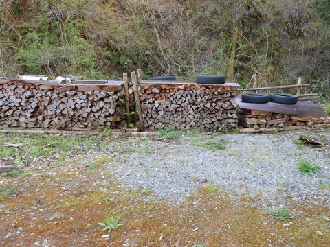 DSCN0976