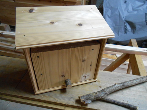 DSCN1366
