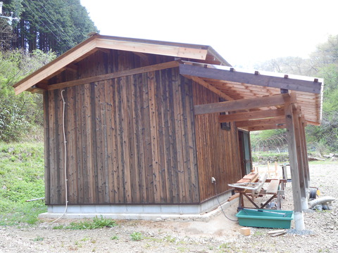 DSCN0982