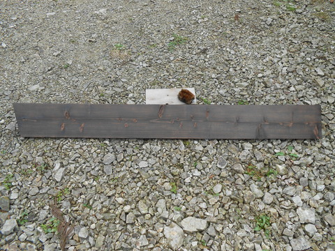 DSCN0980