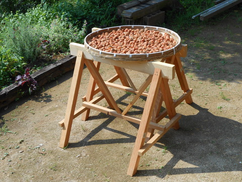 DSCN0462
