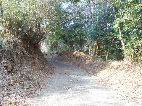 DSCN0858
