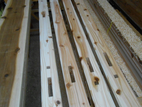DSCN1324