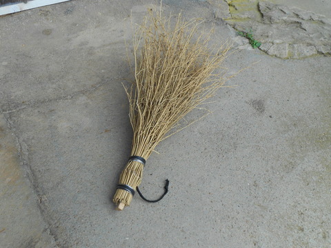 DSCN1963