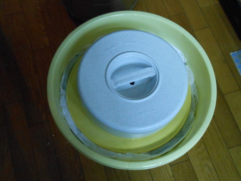 DSCN0731