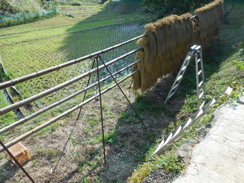 DSCN2117