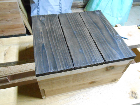 DSCN1496