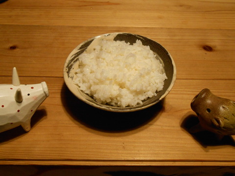 DSCN1458
