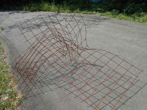 DSCN1857