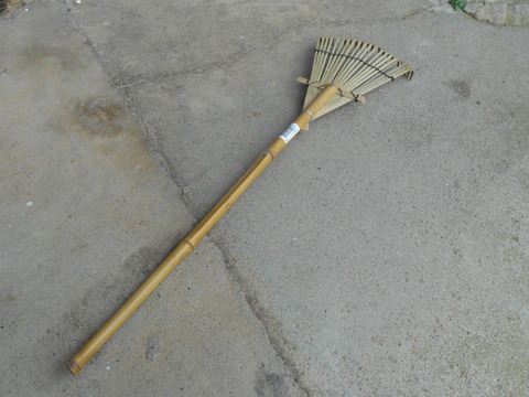 DSCN1964