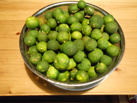 DSCN1307