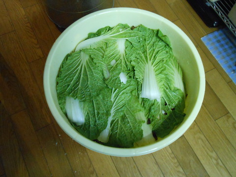 DSCN0728