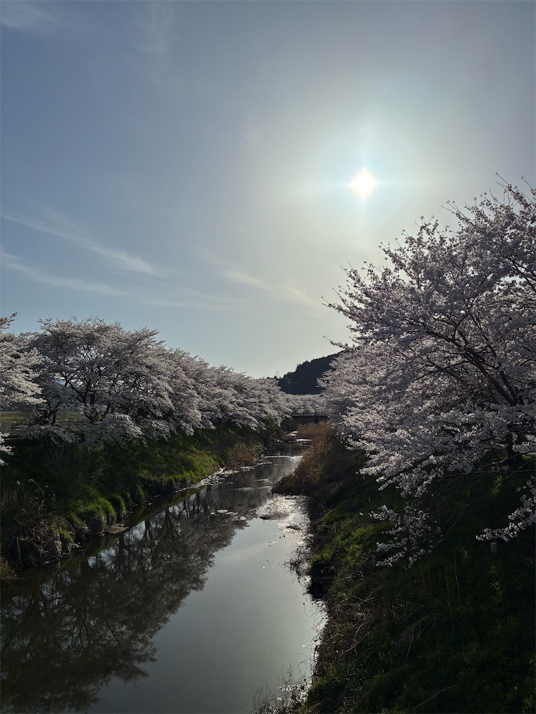 f:id:TEKUTAN:20260325211625j:image f:id:TEKUTAN:20260325211625j:image