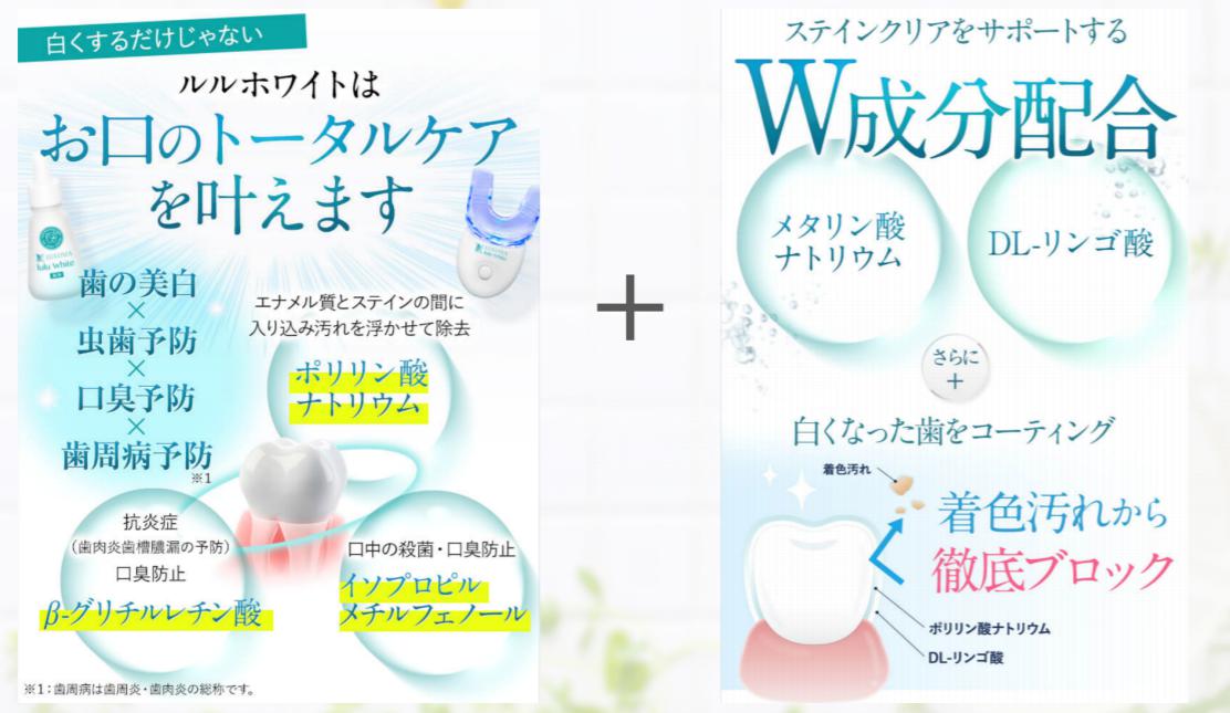 注目の成分