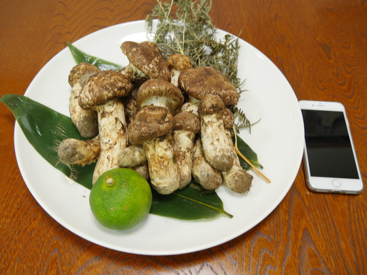 f:id:TEPPEI3:20191005185805j:plain