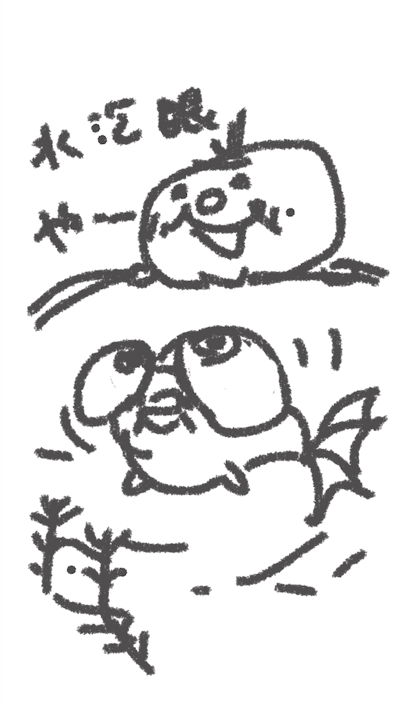 f:id:TERIPOS:20180827222023p:image