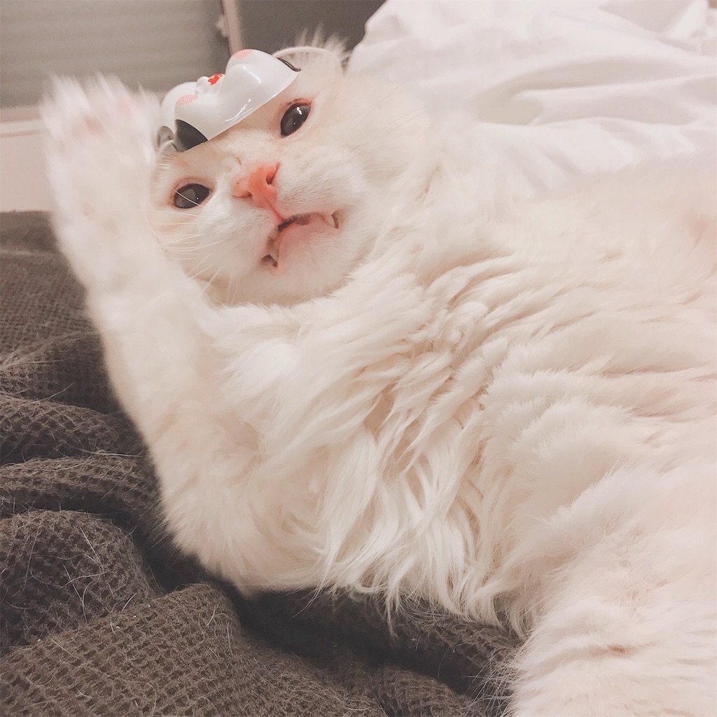 f:id:TERIPOS:20190203204547j:image