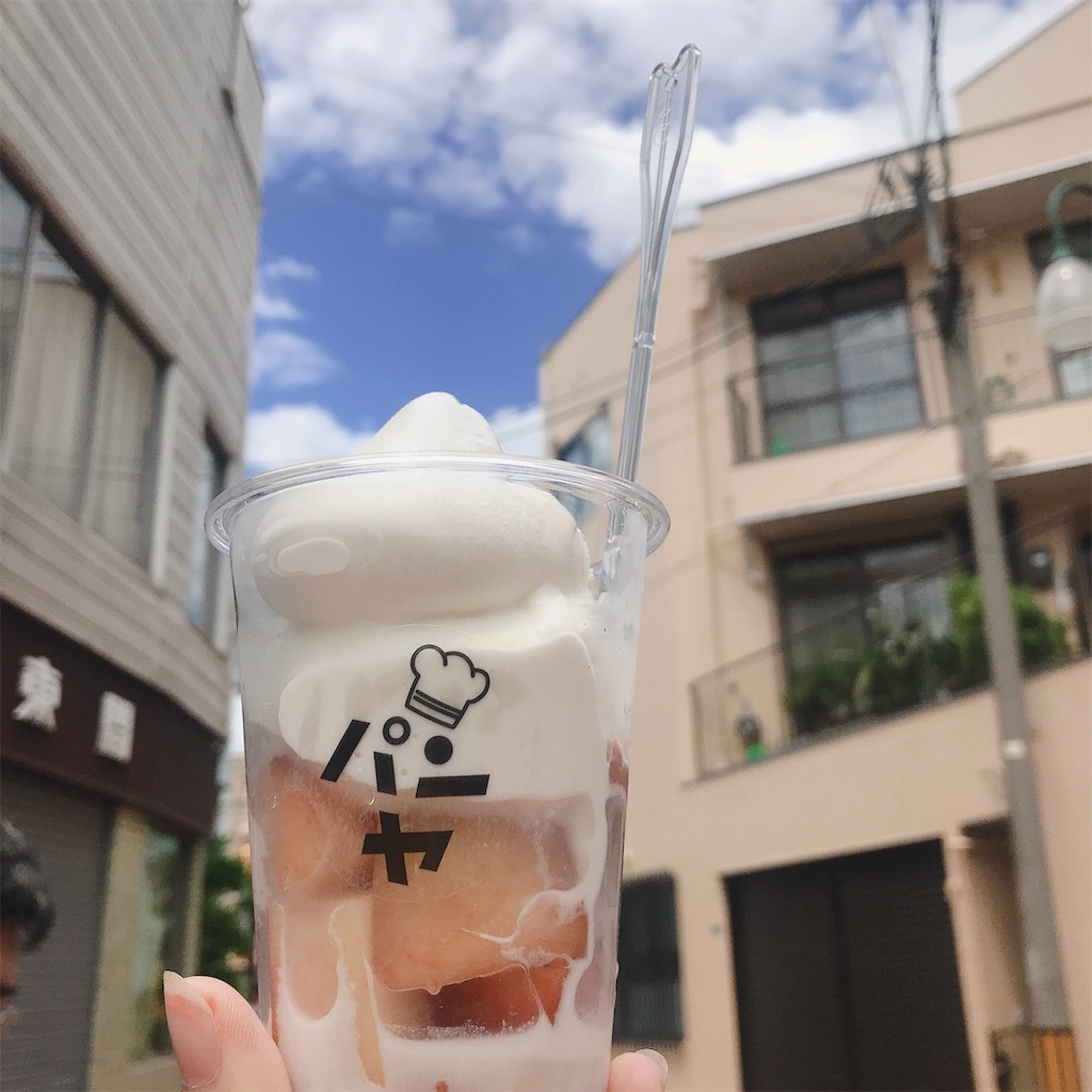 f:id:TERIPOS:20190829224518j:image