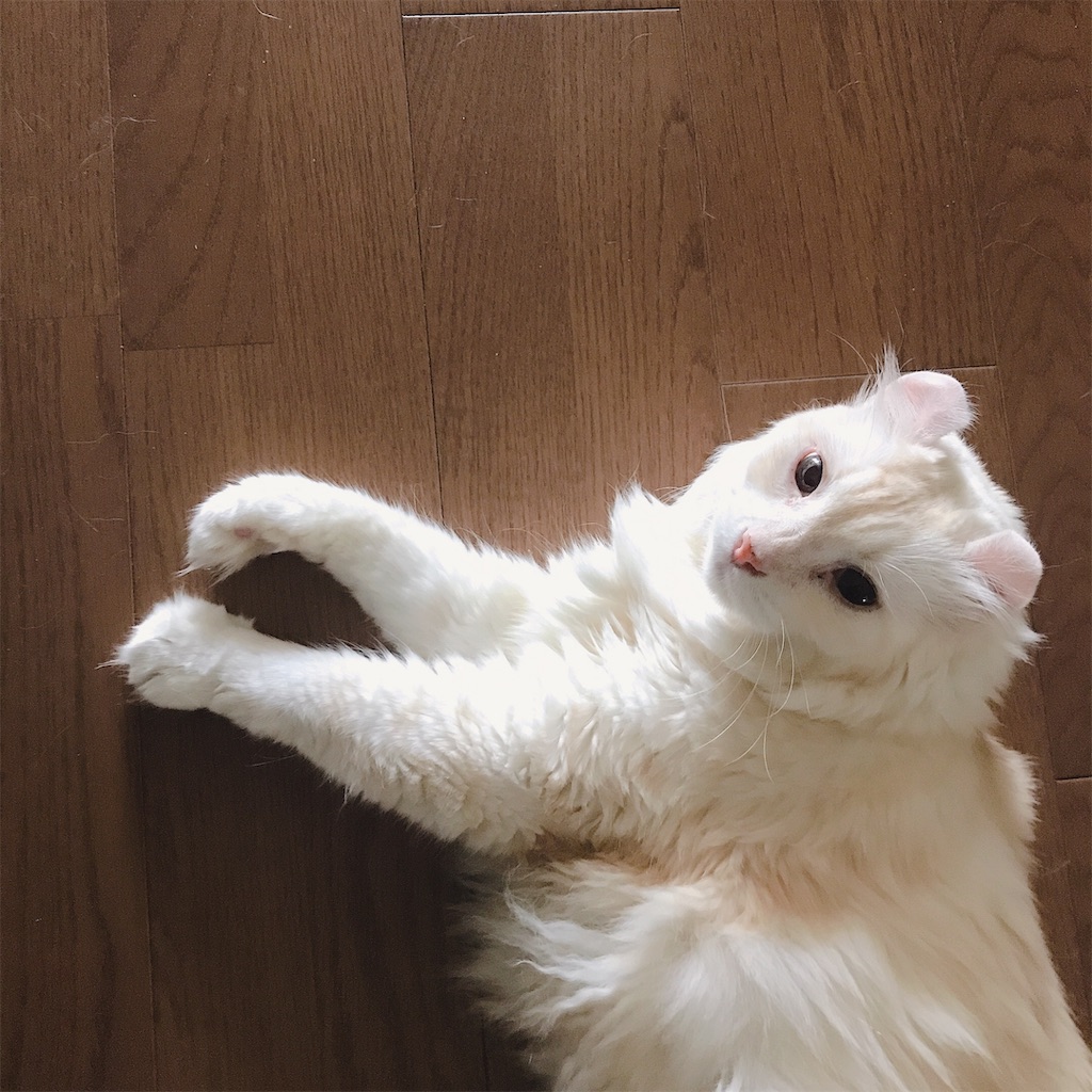 f:id:TERIPOS:20190907171300j:image