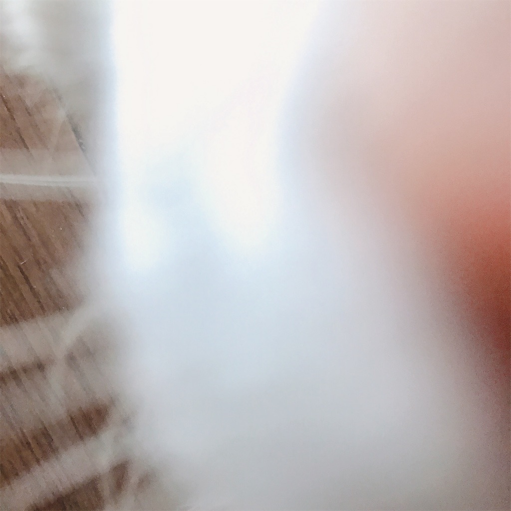 f:id:TERIPOS:20190907171303j:image