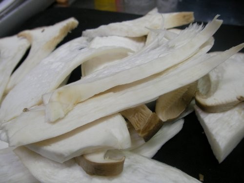 f:id:TERRAZI:20090125132552j:image