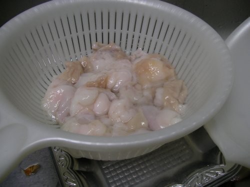 f:id:TERRAZI:20090125133132j:image
