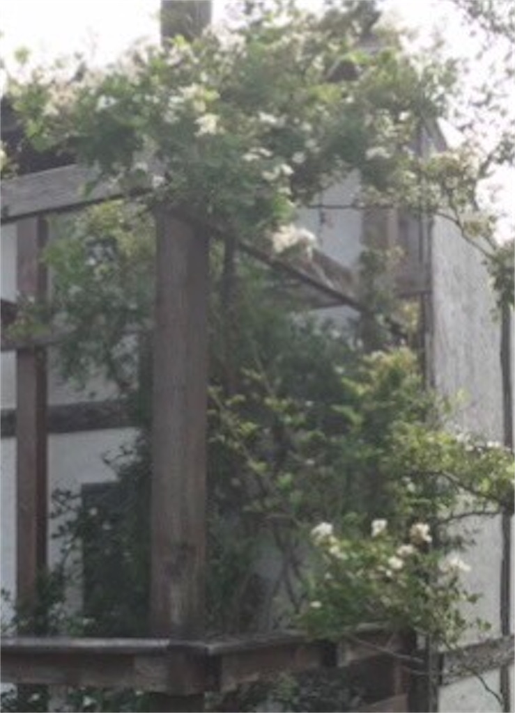 f:id:TERUCAMP:20220108170051j:image f:id:TERUCAMP:20220108170051j:image