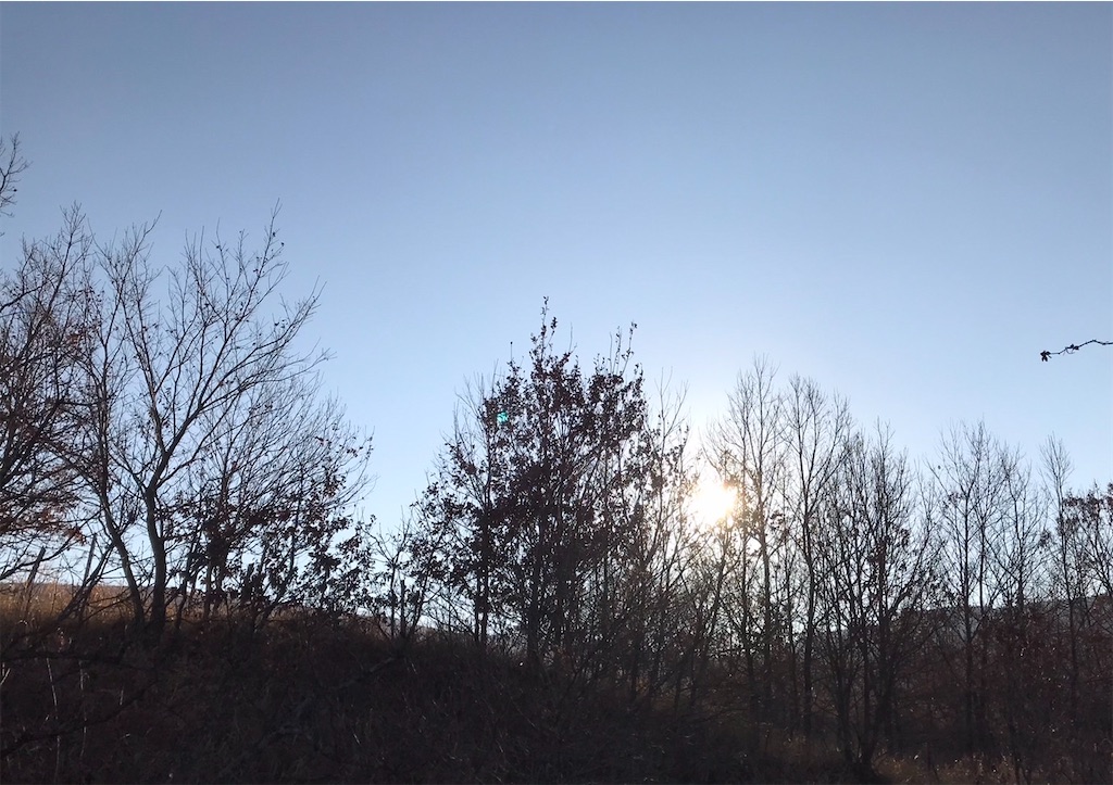 f:id:TERUCAMP:20220322101416j:image f:id:TERUCAMP:20220322101416j:image