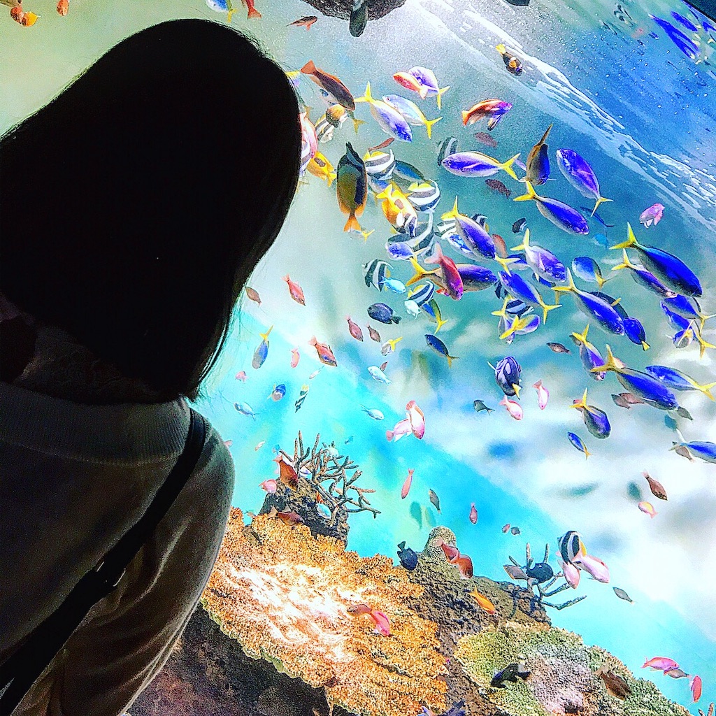 f:id:TERUKUN:20190323183200j:image