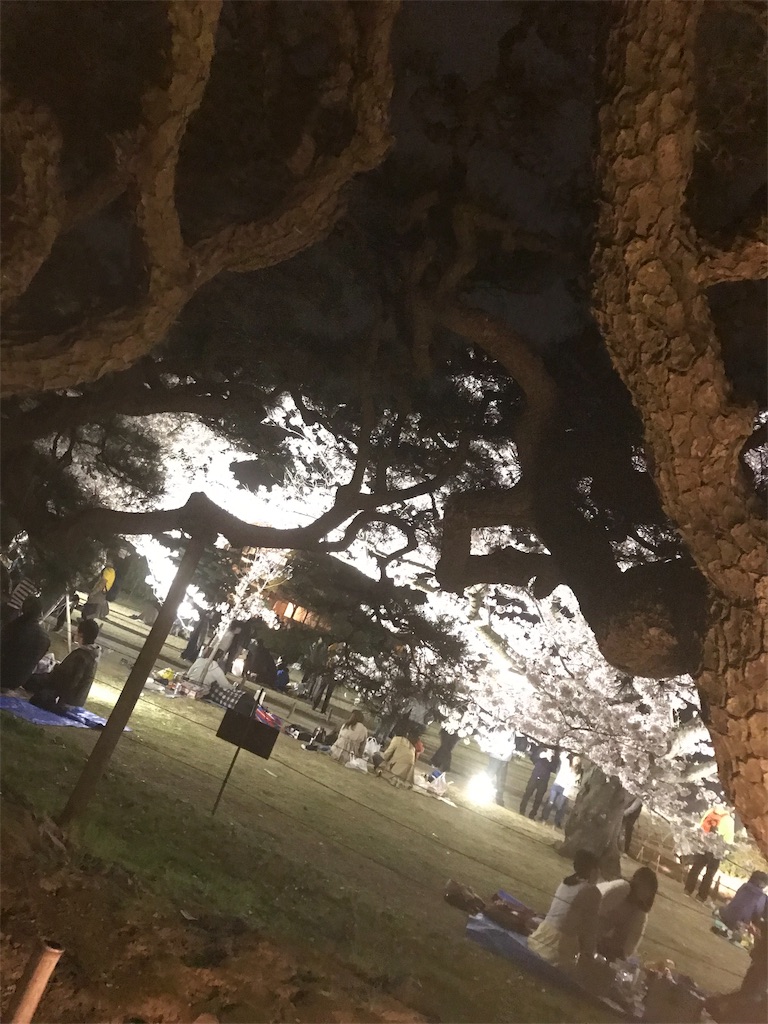 f:id:TERUKUN:20190412181923j:image