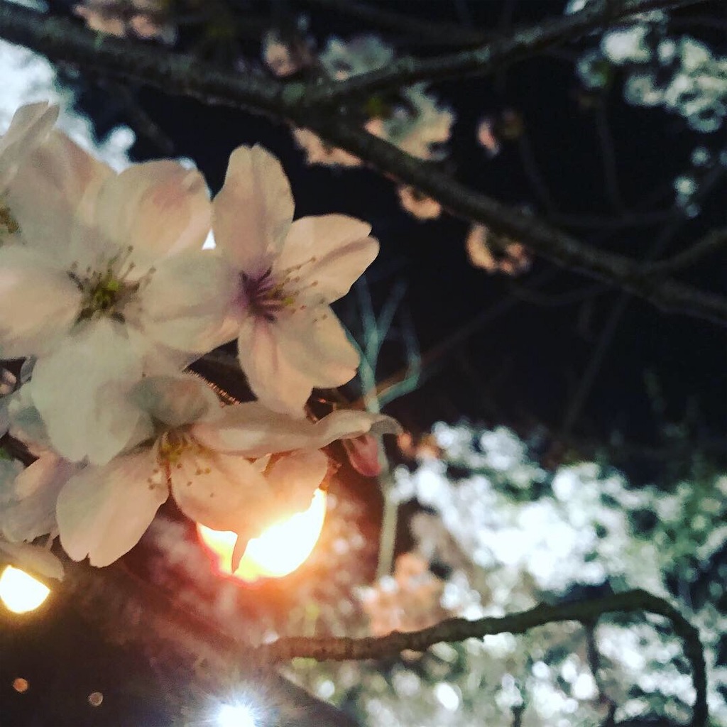 f:id:TERUKUN:20190412181959j:image