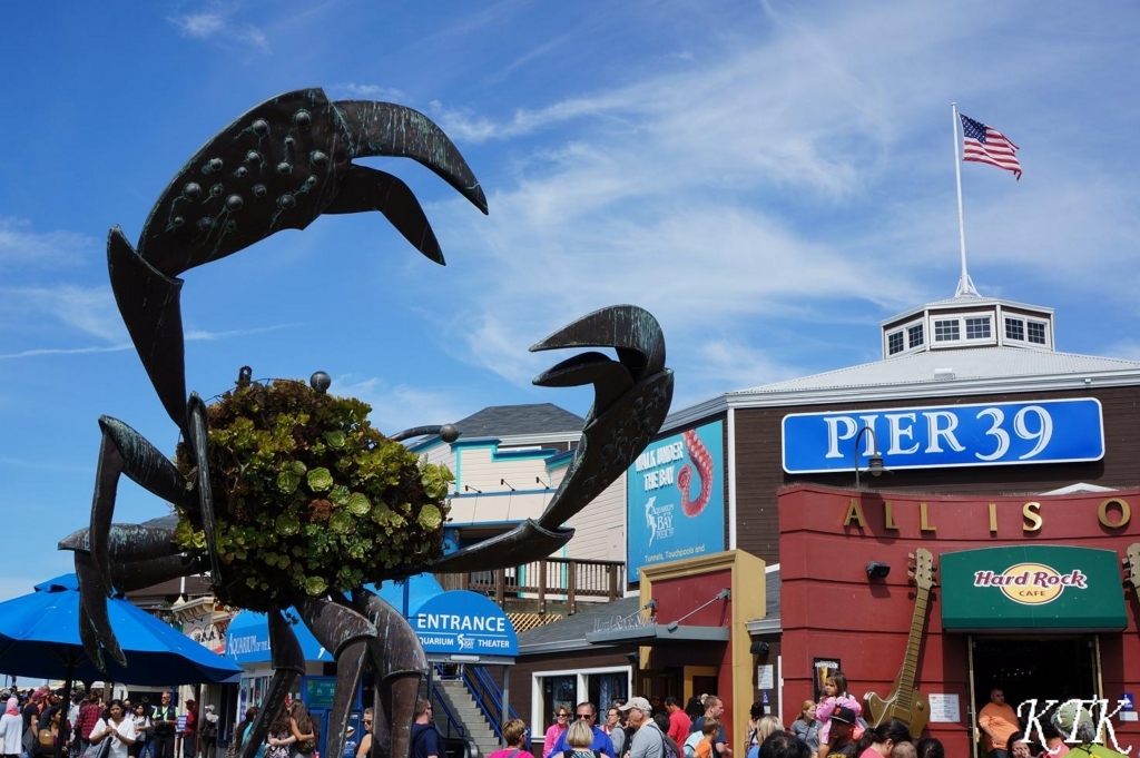 f:id:TERUYAGI:20171125211415j:plain f:id:TERUYAGI:20171125211415j:plain