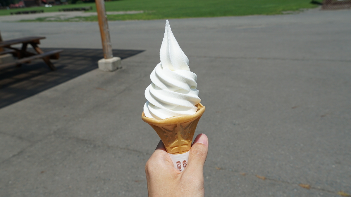 f:id:TERUYAGI:20190802215356j:plain f:id:TERUYAGI:20190802215356j:plain