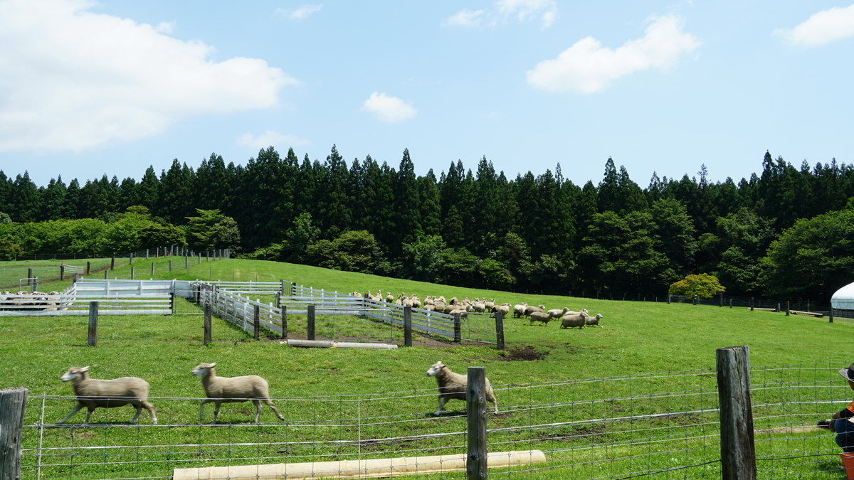 f:id:TERUYAGI:20190802220632j:plain f:id:TERUYAGI:20190802220632j:plain