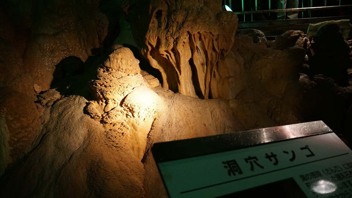 f:id:TERUYAGI:20190804120120j:plain f:id:TERUYAGI:20190804120120j:plain