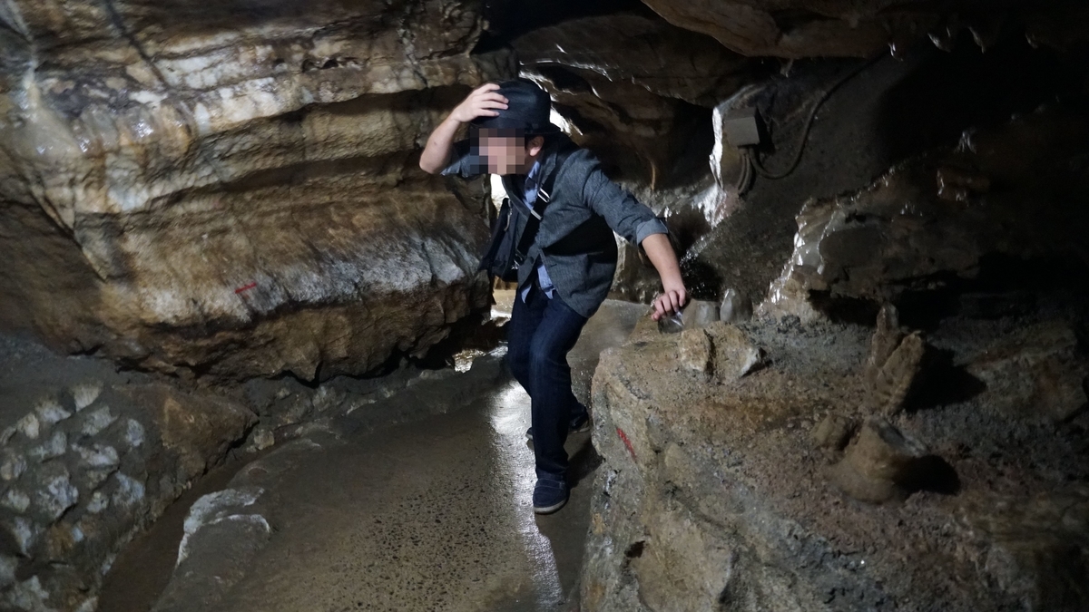 f:id:TERUYAGI:20190804124545j:plain f:id:TERUYAGI:20190804124545j:plain