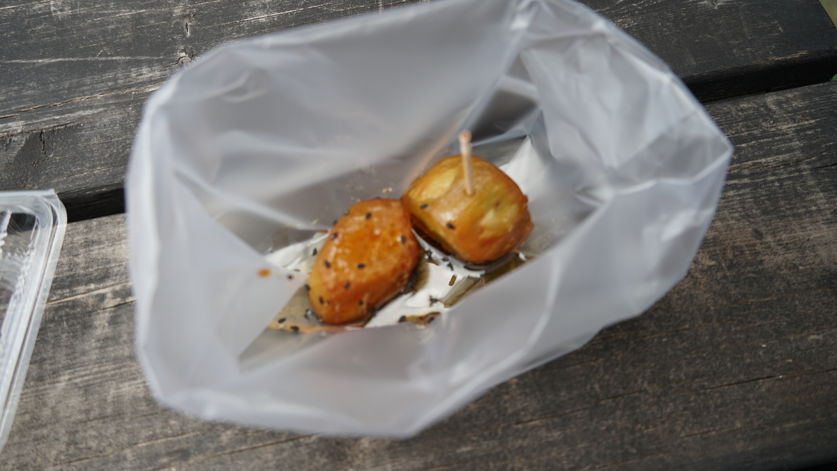 f:id:TERUYAGI:20190804160207j:plain