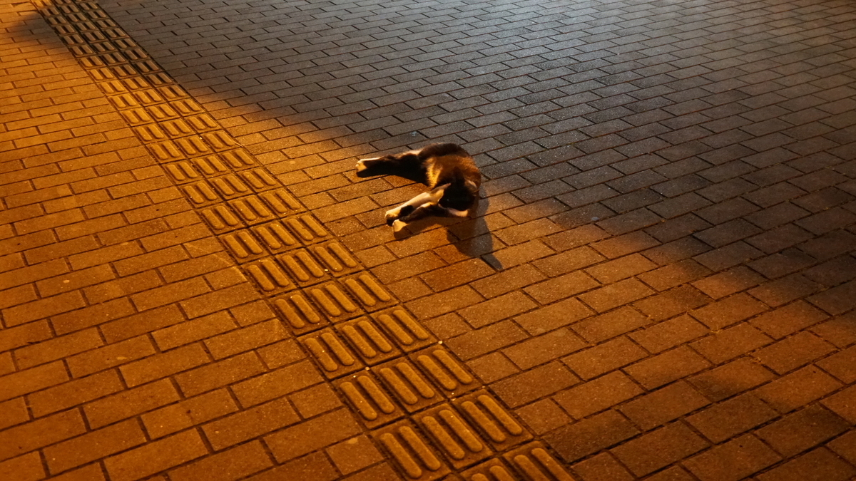 f:id:TERUYAGI:20190804181142j:plain