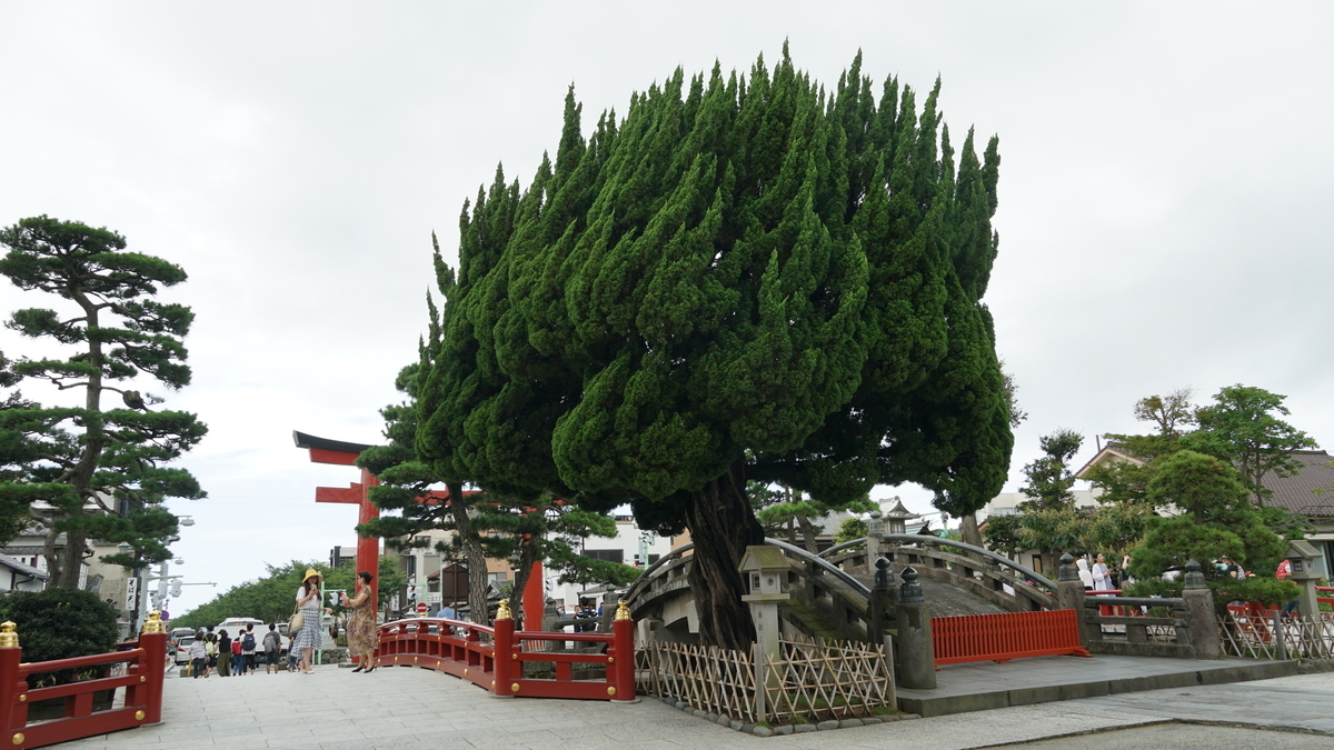 f:id:TERUYAGI:20190812111423j:plain f:id:TERUYAGI:20190812111423j:plain