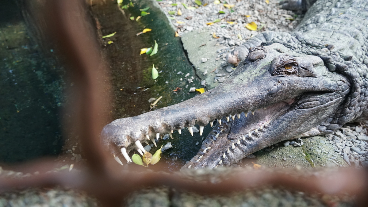 f:id:TERUYAGI:20190812155934j:plain f:id:TERUYAGI:20190812155934j:plain