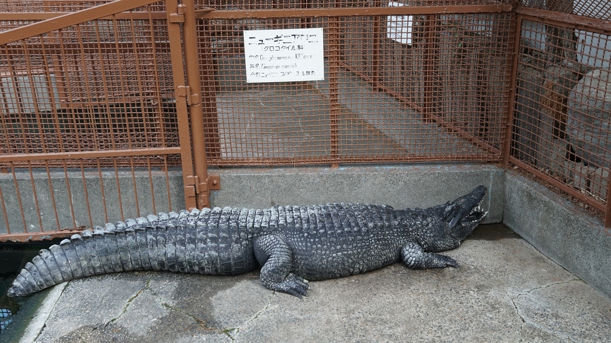 f:id:TERUYAGI:20190812160205j:plain f:id:TERUYAGI:20190812160205j:plain