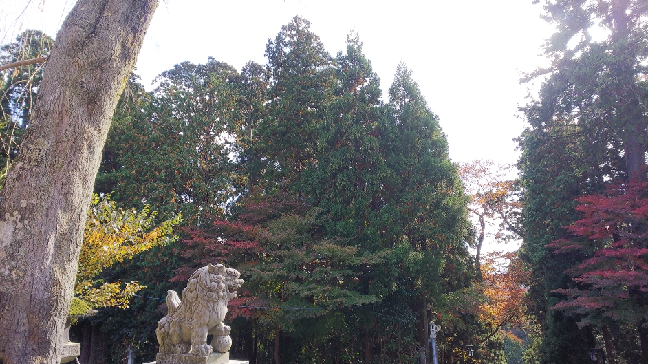 f:id:TETSUGAKUMAN:20191122111727j:plain f:id:TETSUGAKUMAN:20191122111727j:plain