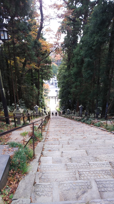 f:id:TETSUGAKUMAN:20191122112331j:plain f:id:TETSUGAKUMAN:20191122112331j:plain