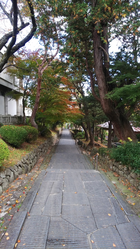 f:id:TETSUGAKUMAN:20191122112345j:plain f:id:TETSUGAKUMAN:20191122112345j:plain