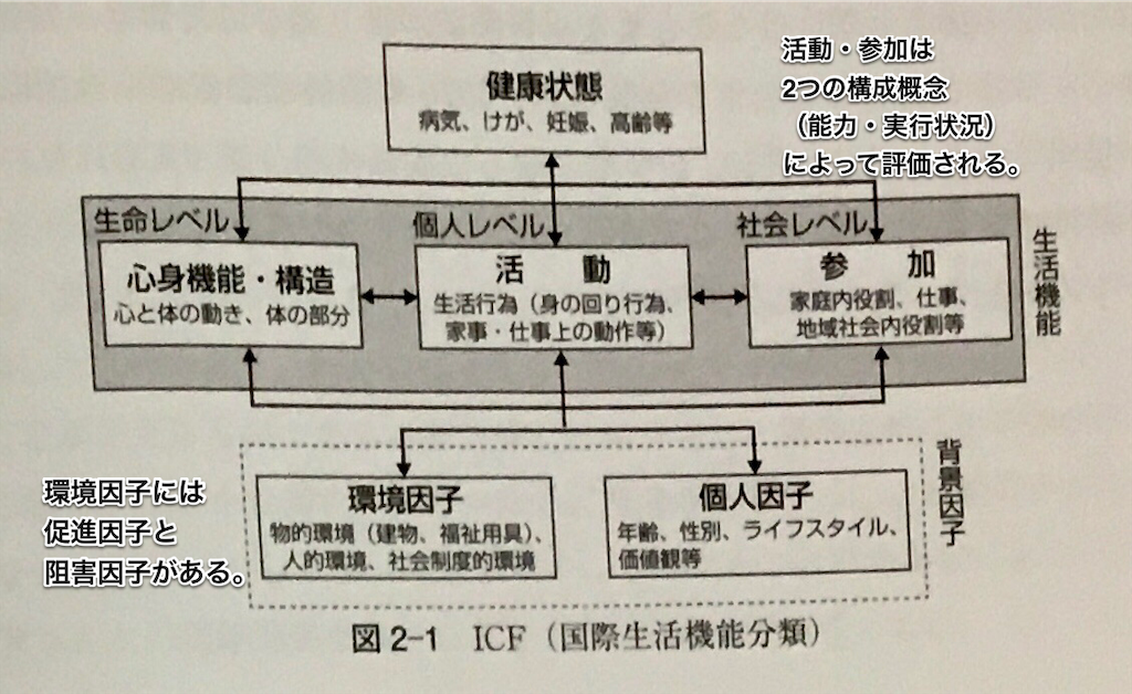 共通科目、まとめのまとめ。(21.02.04更新) - 医療業界目指して登販
