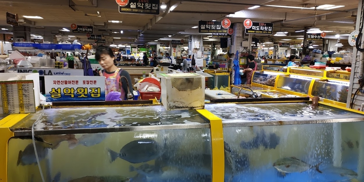 f:id:THAILAND:20191018162014j:plain f:id:THAILAND:20191018162014j:plain