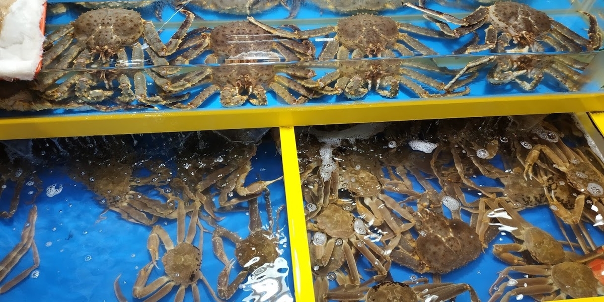 f:id:THAILAND:20191018162034j:plain f:id:THAILAND:20191018162034j:plain