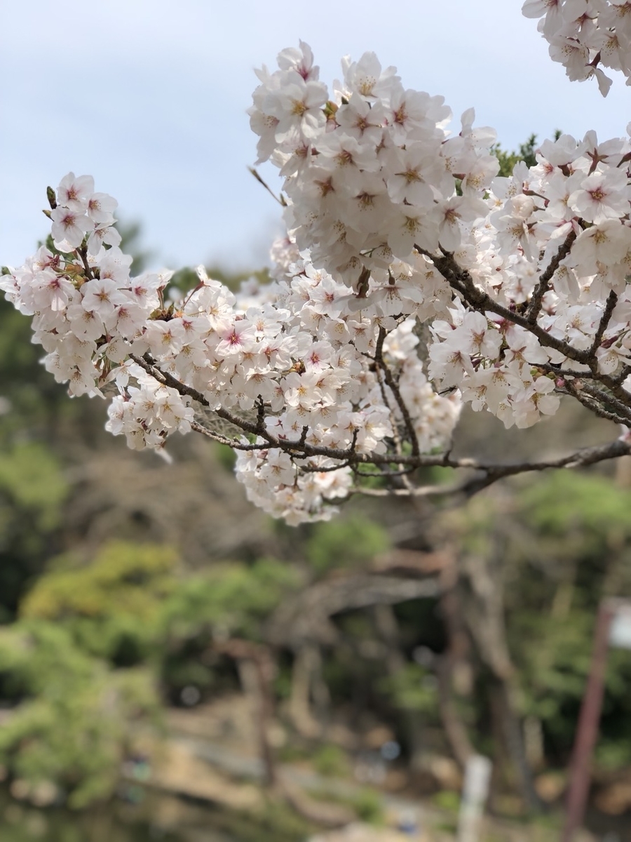 f:id:THYkun:20190317193316j:plain f:id:THYkun:20190317193316j:plain