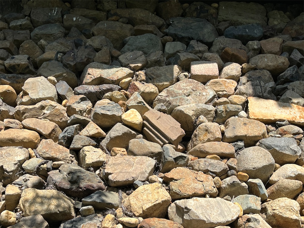 f:id:TJ2:20240625071812j:image f:id:TJ2:20240625071812j:image