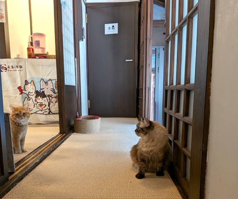 縁側だった部分。